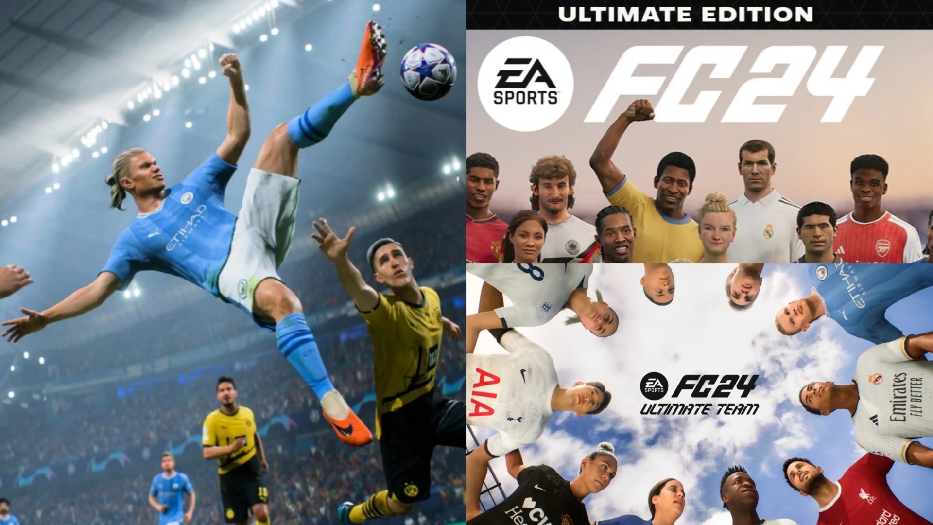 FIFA 24 Web App Download